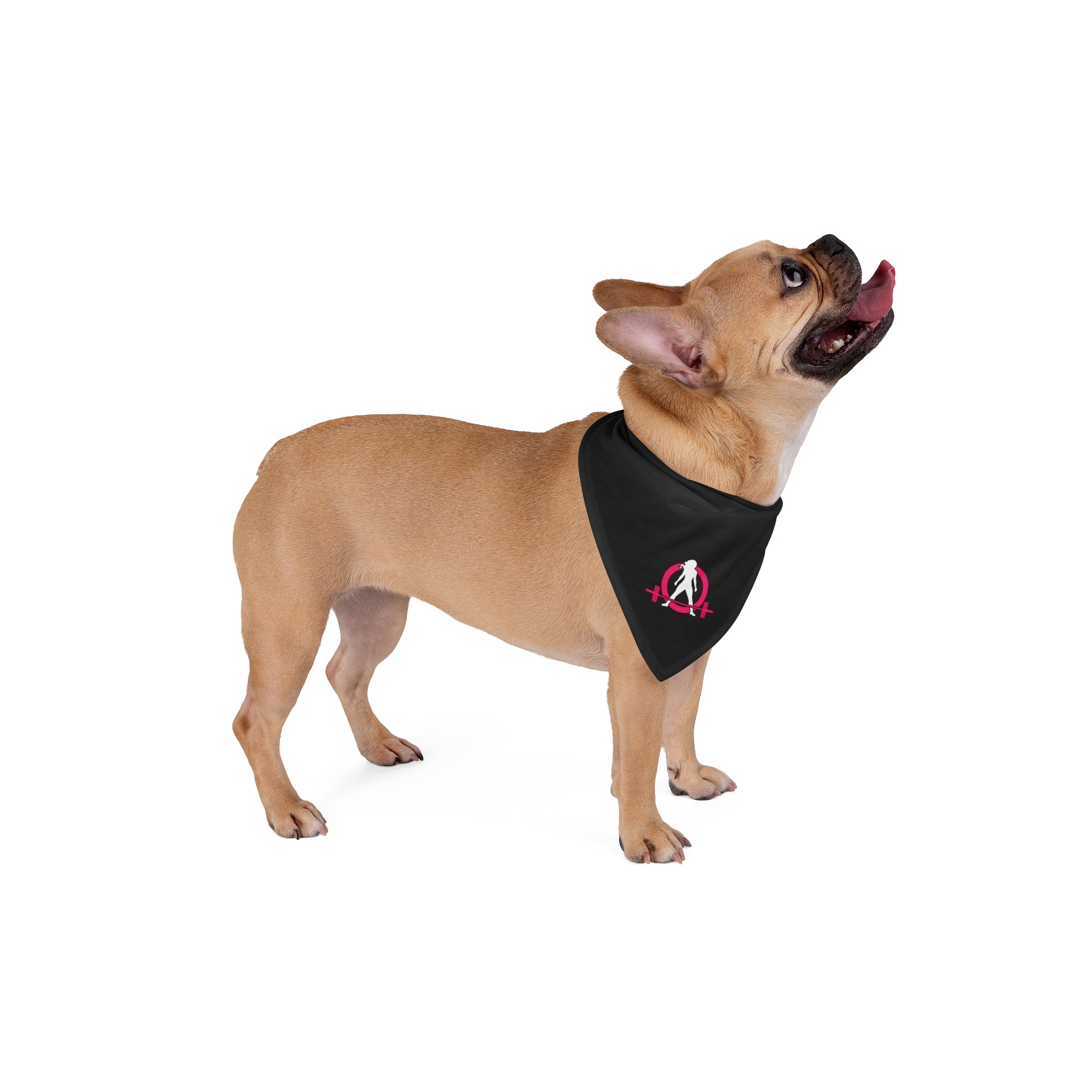 Pet Bandana - Black Classic Logo Small