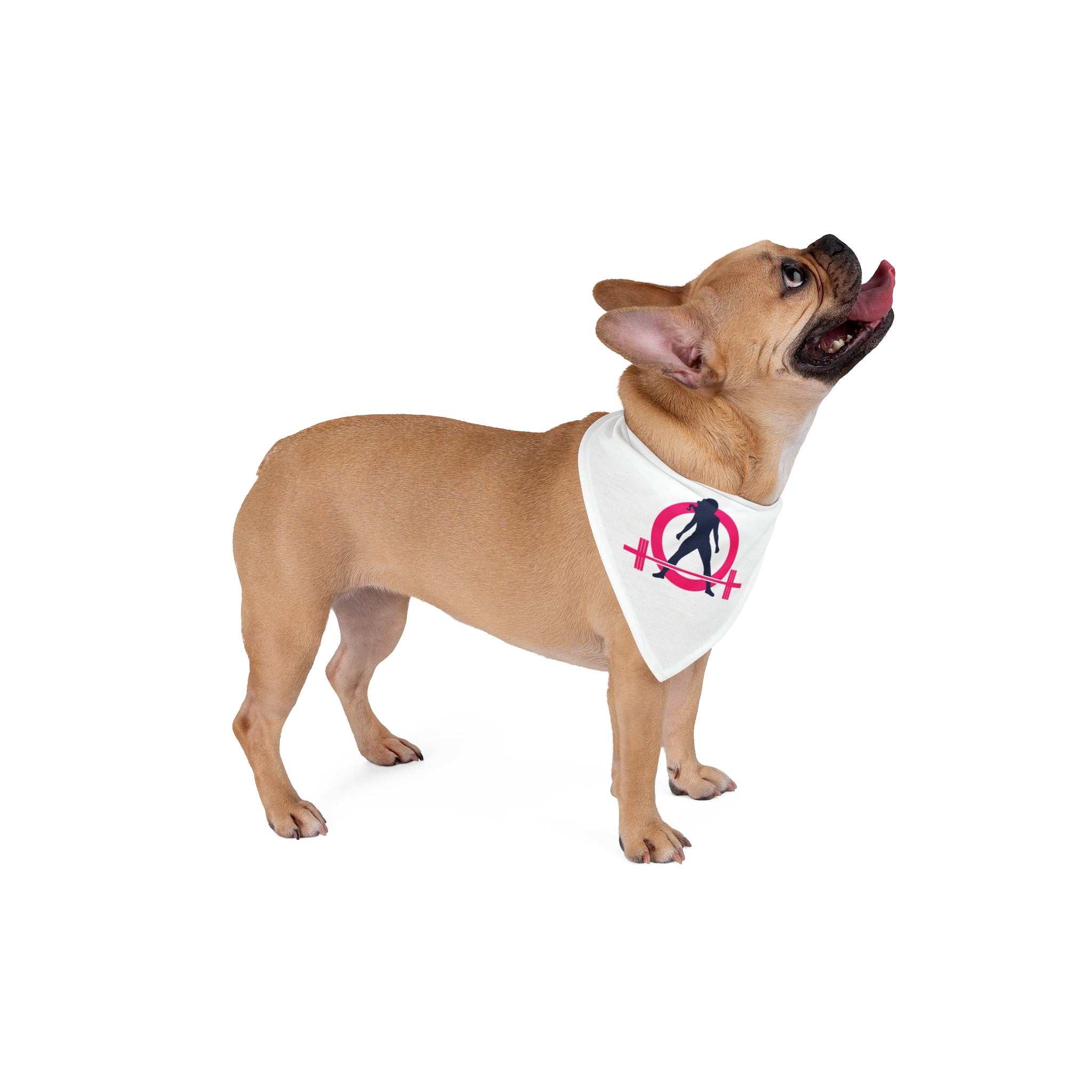 Pet Bandana - White Classic Logo